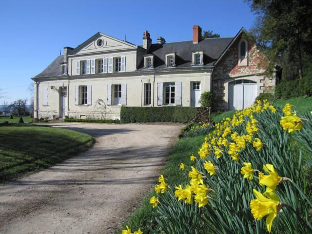 Chambres D'Hotes Le Chateau De La Plante Thure Экстерьер фото